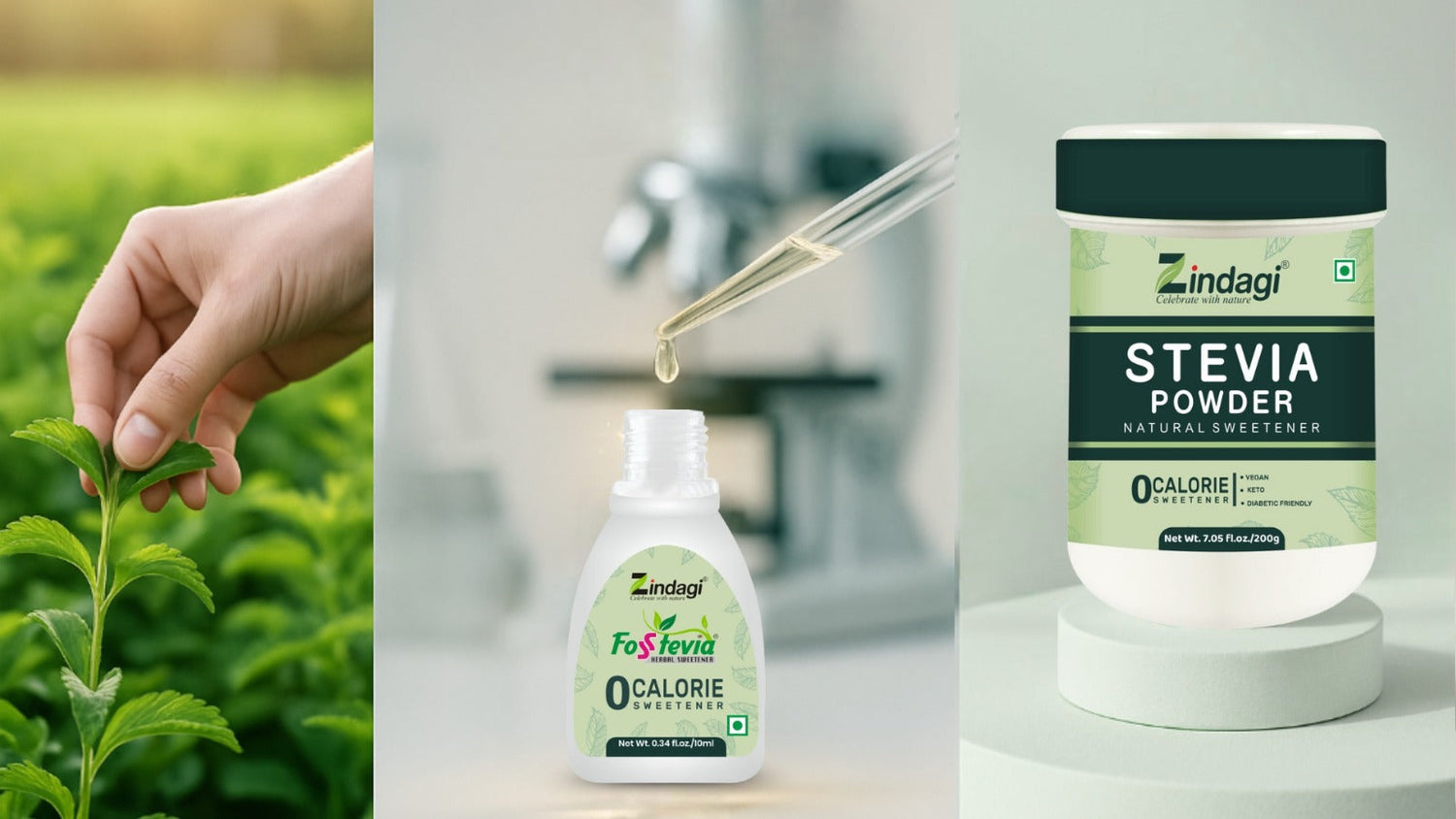 The Making of Pure Zindagi Stevia – A Natural Sugar Substitute