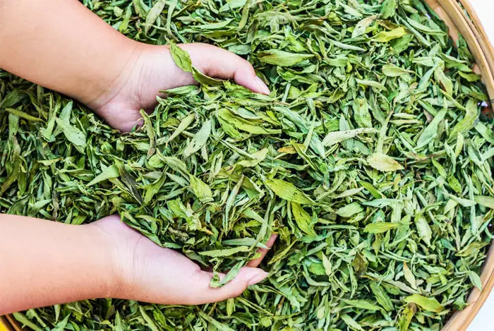 How to Use Stevia Leaves