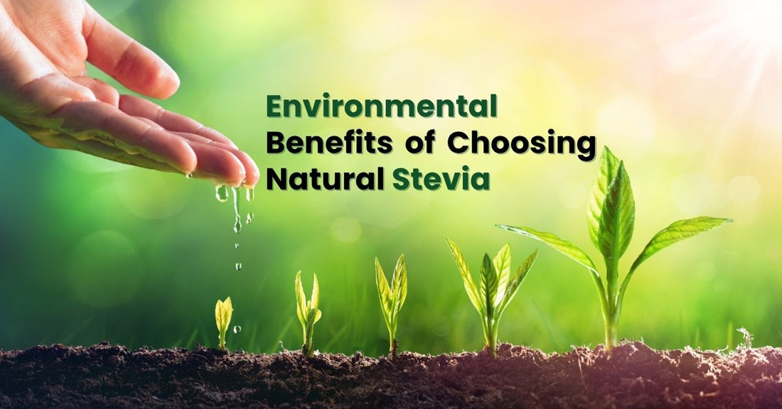 The Environmental Benefits of Choosing Natural Stevia Over Sugar