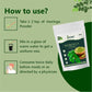 Moringa Powder Superfood